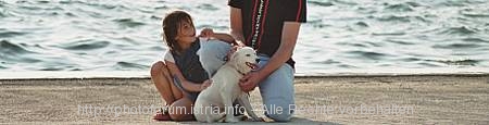 Header > Kind mit Hund am Strand