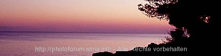 Header> Abendlicht mit Meer und Baum