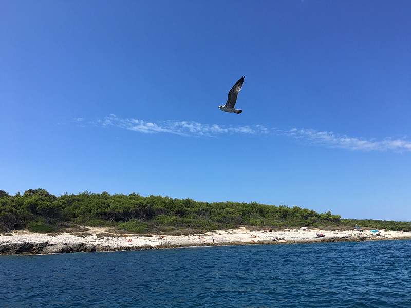 Kalender_2018-36_Schifffahrt_zur_Insel_Ceja.jpg