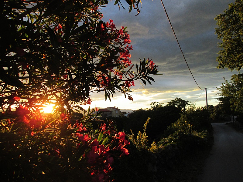 Kvarner: BAJCIC> Eine Abendstimmung>