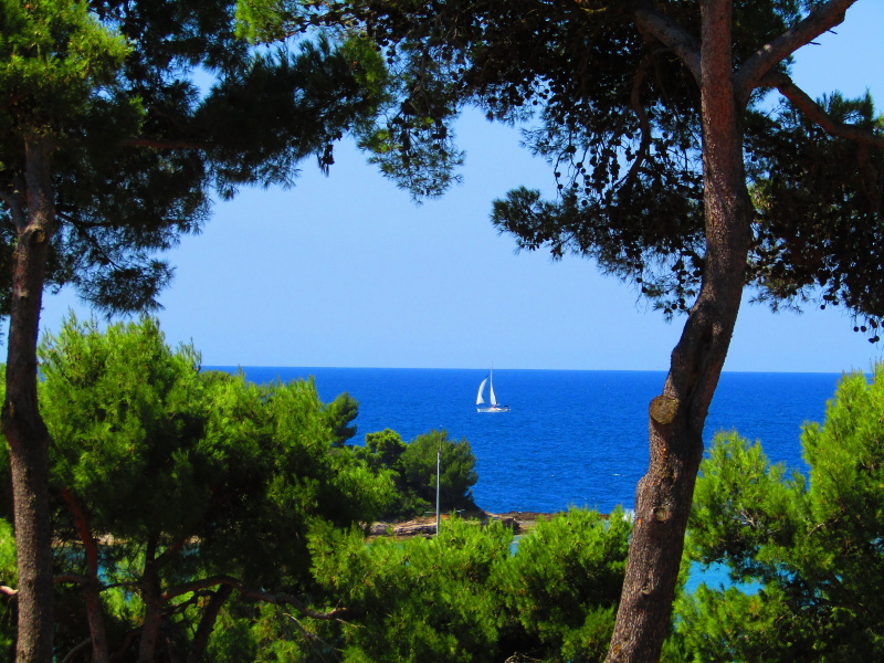 Istrien: BANJOLE -> Ausblick vom Campingplatz