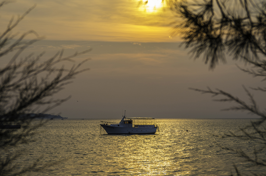 Istrien: FAZANA> Abendlicht