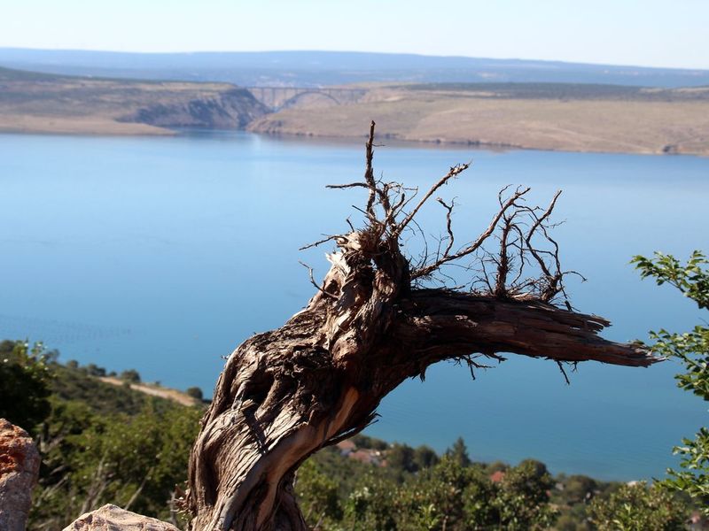 Dalmatien:STARIGRAD>nationalpark