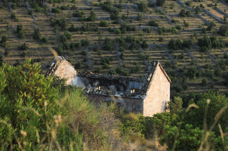 Dalmatien: Hvar > Ruine