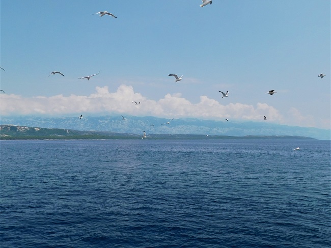 KVARNER: Nähe Insel Goli Otok> Wolken