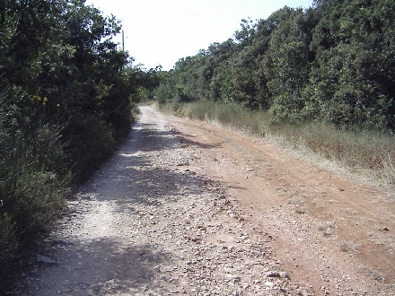 BARBARIGA-ROVINJ > Hauptstrasse - Nix für 55/35 tiefer