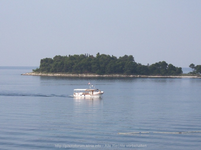 Restaurant "BLU" Rovinje / Valdalisso