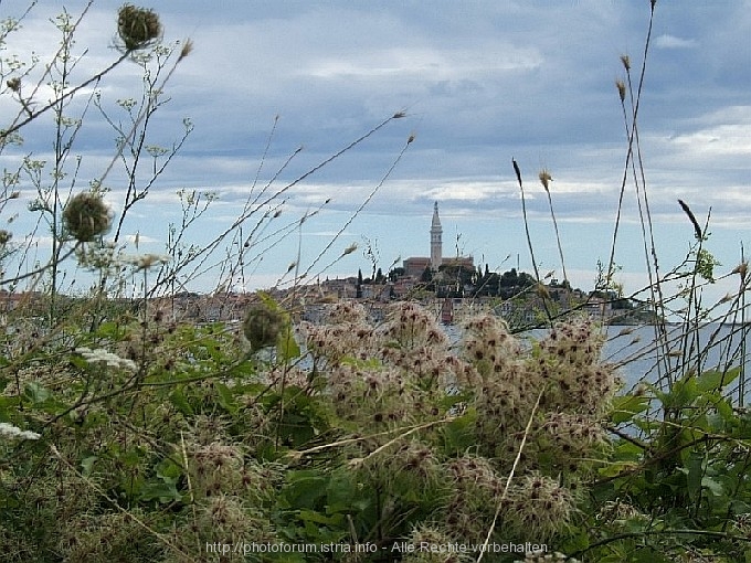 Rovinj-Region > Impressionen