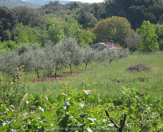 Valalta und Rovinj