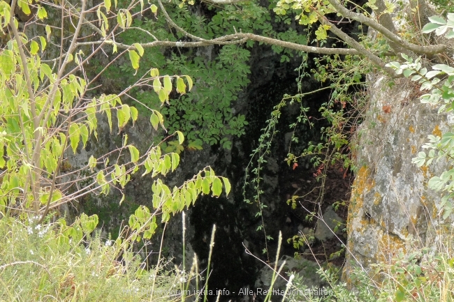 Monkodonja bei Kokuletovica 7