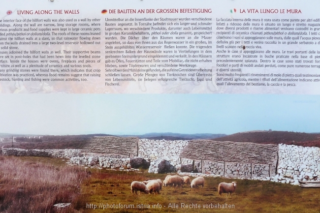 Monkodonja bei Kokuletovica 7