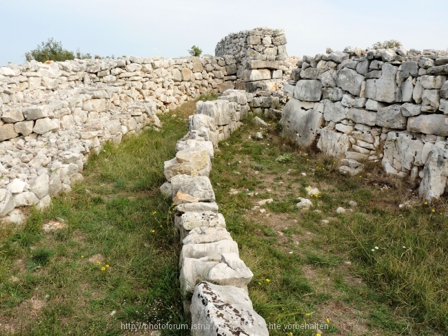 Monkodonja bei Kokuletovica