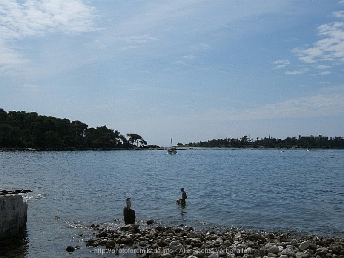 Rovinj-Region > Impressionen > Zlatni Rt. und Punta Corente