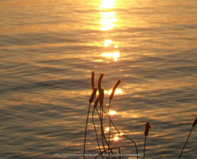 Rovinj > Valalta > Sonnenuntergang