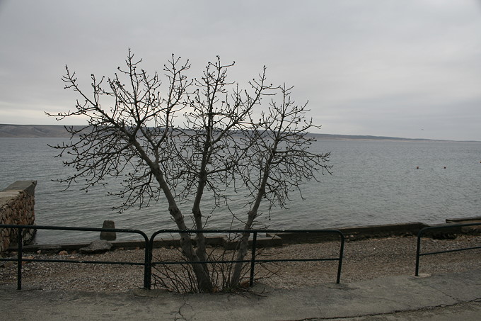 Strand Starigrad - Paklenica 3