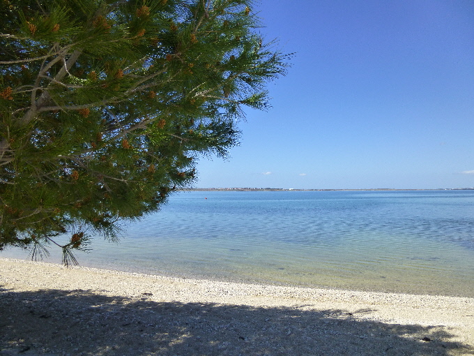 Strand in Richtung Pinienwald