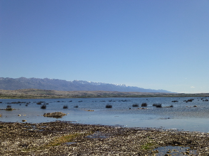 Vogelreservat Insel Pag