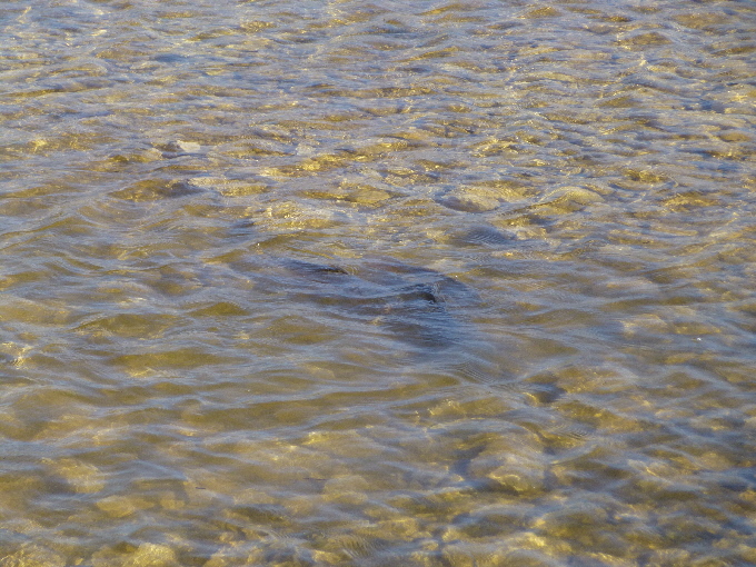 P10800991.jpg