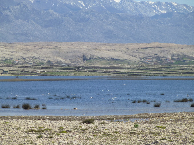 Veliko Jezero Blato