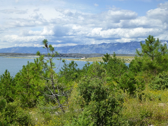 Blick auf Pag und Velebit