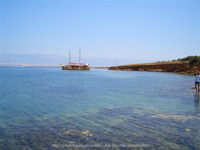 OTOK VIR > Zipfel von Vir - Die Kellys auch hier???