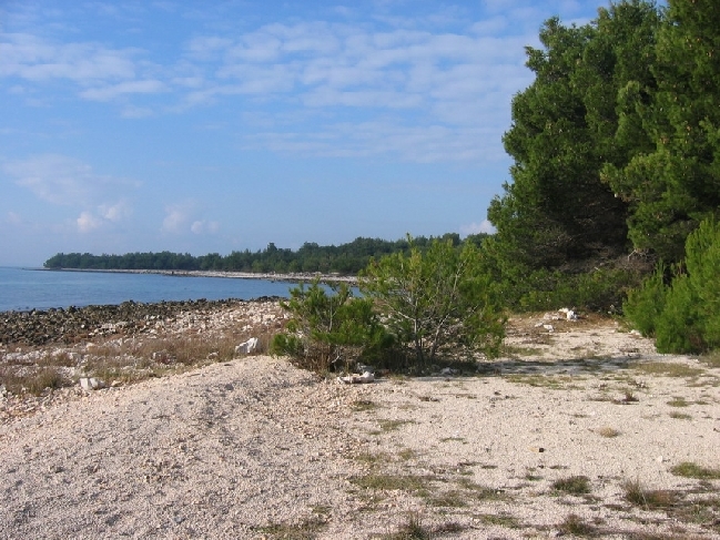 OTOK VIR > Strand Torovi