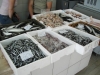 Fischhalle Porec Fischhalle Porec