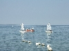 Segeln lernern Segeln lernern
