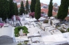 SIBENIK > Friedhof unterhalb der Festung Sv. Mihovil