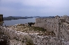 SIBENIK > Festung Sveti Ana > Blick auf die Krka