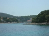 Otok SOLTA > Maslinica