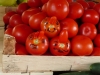 TROGIR>Markttag>Tomaten mal anders