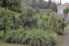 TRSTENO > Arboretum