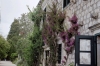 TRSTENO > Arboretum > Haus TRSTENO > Arboretum > Haus