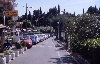 CAVTAT > Straße an den Hotels Albatros und Epidaurus CAVTAT > Straße an den Hotels Albatros und Epidaurus