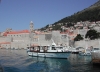 Vor der Stadtmauer von Dubrovnik 3