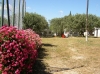 VELA LUKA > Camp Mindel > Parkplatz VELA LUKA > Camp Mindel > Parkplatz