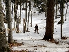 NATURPARK UCKA > Nono im Schnee (Auf dem Weg zum Planik; Ucka)