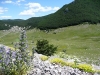 VELEBIT > Mittendrin > Bergwelt