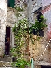 ROVINJ > Altstadt > Gasse - eindrucksvoller Innenhof ROVINJ > Altstadt > Gasse - eindrucksvoller Innenhof