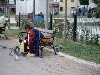 Rovinj > Impressionen > Am Hafen