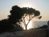 Rovinj_2005 4