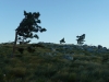 SENJ>Von Senj aus ins Gebirge SENJ>Von Senj aus ins Gebirge