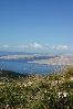 SENJ > Panoramablick auf Otok Krk mit Silberdistel