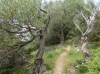 Cres>Wanderung Sv. Blaz Cres>Wanderung Sv. Blaz