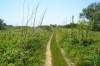 INSEL SUSAK > Wanderweg