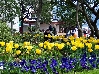 KRK > Stadtpark - Gradski park na Krku KRK > Stadtpark - Gradski park na Krku