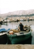 Fischer aus Baska 2