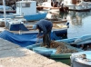 Fischer aus Baska 4
