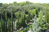OTOK RAB > SUHA PUNTA > Blick aus dem Hotel Eva OTOK RAB > SUHA PUNTA > Blick aus dem Hotel Eva